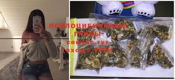 гидропоника Нея