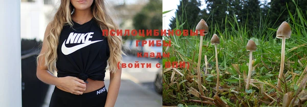гидропоника Нея