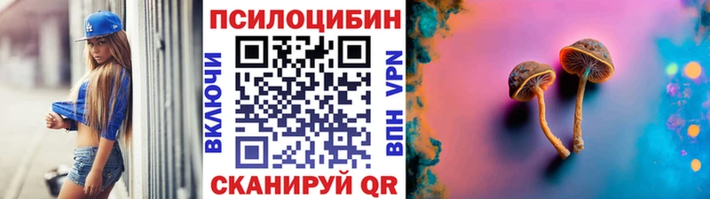 darknet наркотические препараты  гидра маркетплейс  Псилоцибиновые грибы Magic Shrooms  Сольцы  наркота 